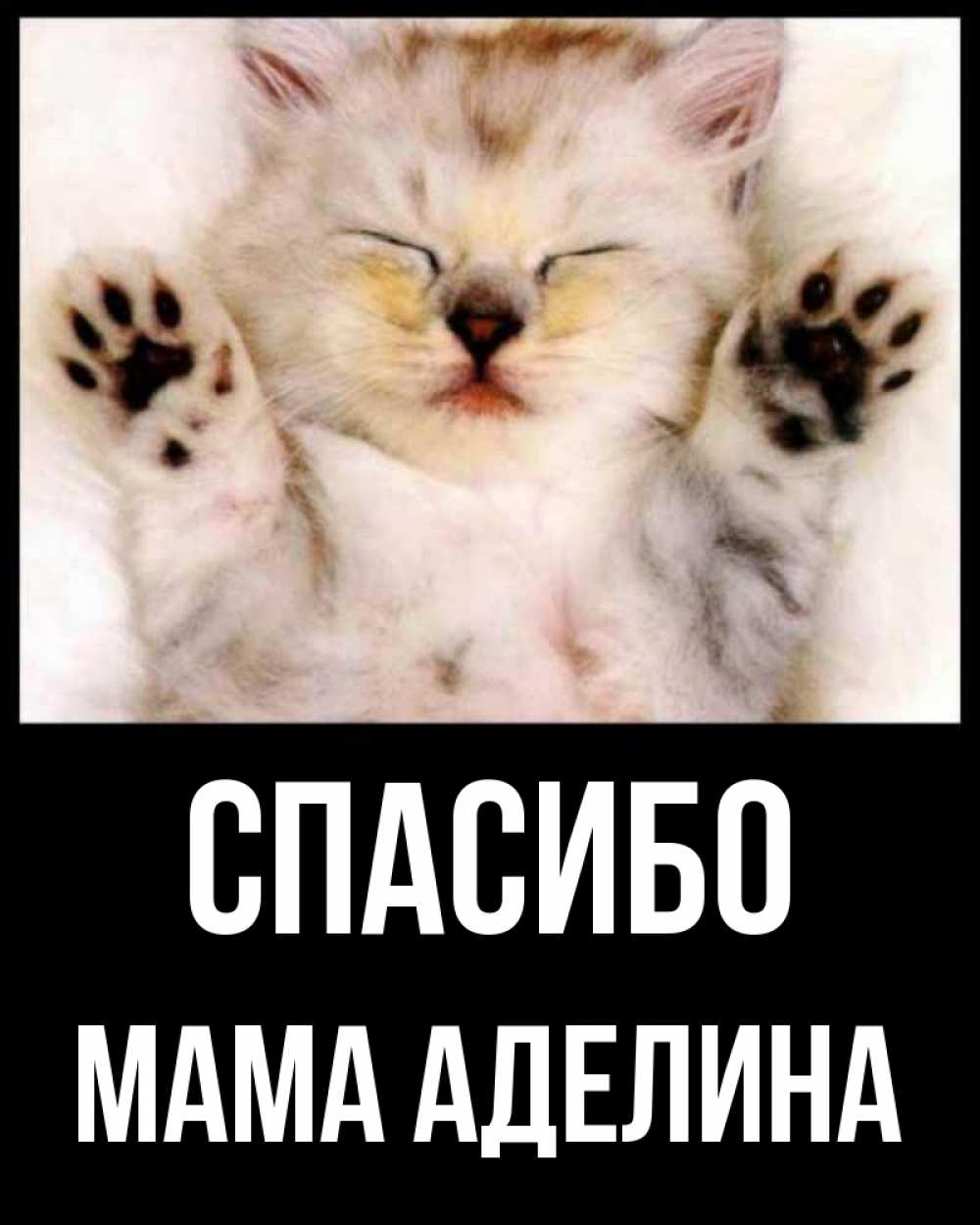 Открытка на каждый день с именем, Мама-Аделина Спасибо маленький котенок Прикольная открытка с пожеланием онлайн скачать бесплатно 
