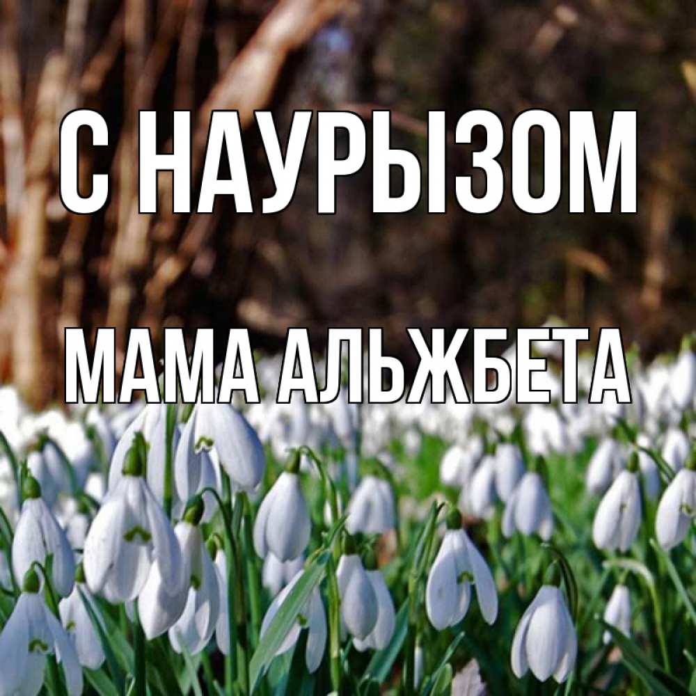 Открытка на каждый день с именем, Мама-Альжбета С наурызом с подснежниками 1 Прикольная открытка с пожеланием онлайн скачать бесплатно 