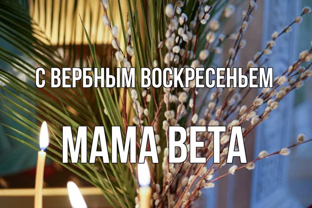 Открытка на каждый день с именем, Мама-Вета С вербным воскресеньем верба Прикольная открытка с пожеланием онлайн скачать бесплатно 