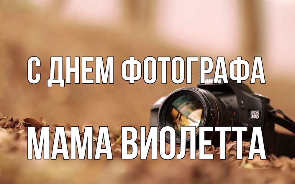 Открытка на каждый день с именем, Мама-Виолетта С днем фотографа с днем фотографа Прикольная открытка с пожеланием онлайн скачать бесплатно 