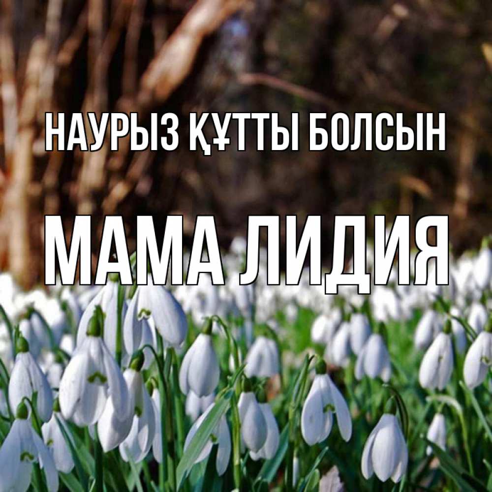 Открытка на каждый день с именем, Мама-Лидия Наурыз құтты болсын с подснежниками 1 Прикольная открытка с пожеланием онлайн скачать бесплатно 