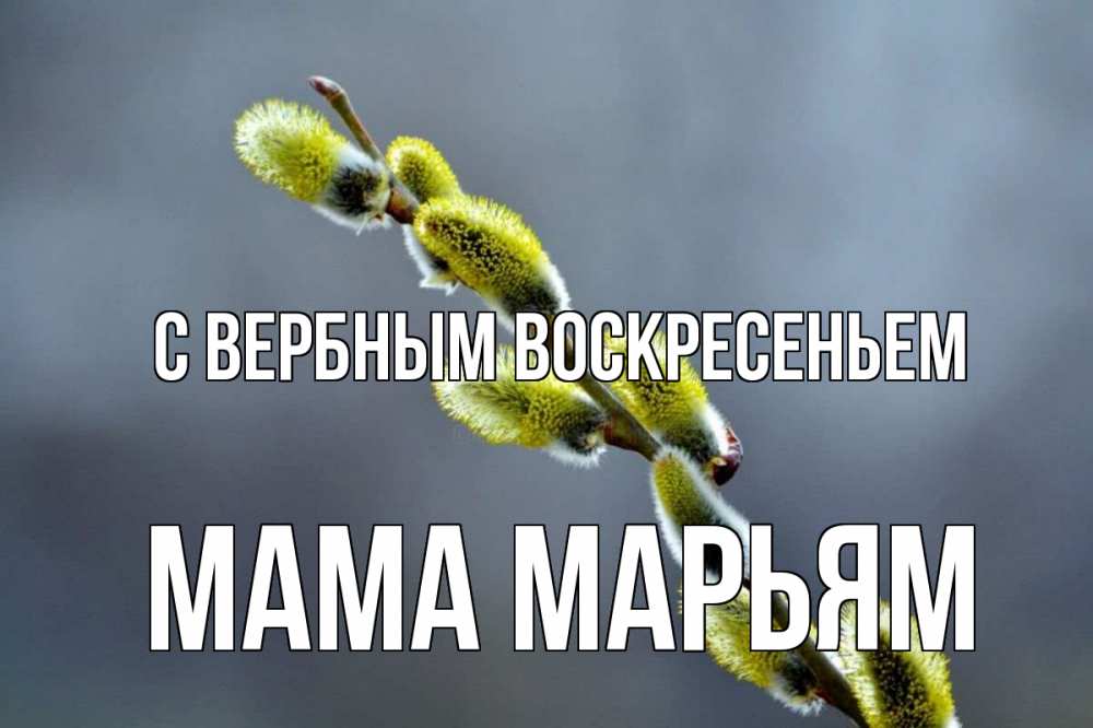 Открытка на каждый день с именем, Мама-Марьям С вербным воскресеньем верба Прикольная открытка с пожеланием онлайн скачать бесплатно 