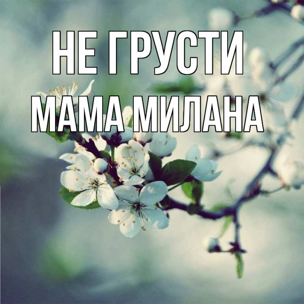 Открытка на каждый день с именем, Мама-Милана Не грусти яблоня в цвету 1 Прикольная открытка с пожеланием онлайн скачать бесплатно 