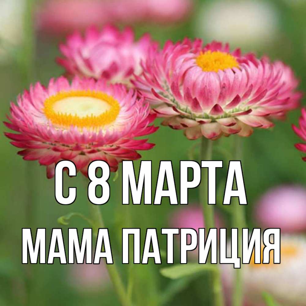 Открытка на каждый день с именем, Мама-Патриция С 8 МАРТА подарок на международный женский день Прикольная открытка с пожеланием онлайн скачать бесплатно 