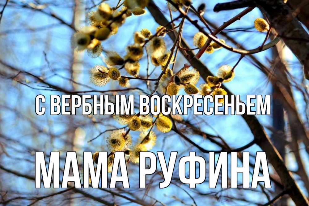 Открытка на каждый день с именем, Мама-Руфина С вербным воскресеньем верба Прикольная открытка с пожеланием онлайн скачать бесплатно 