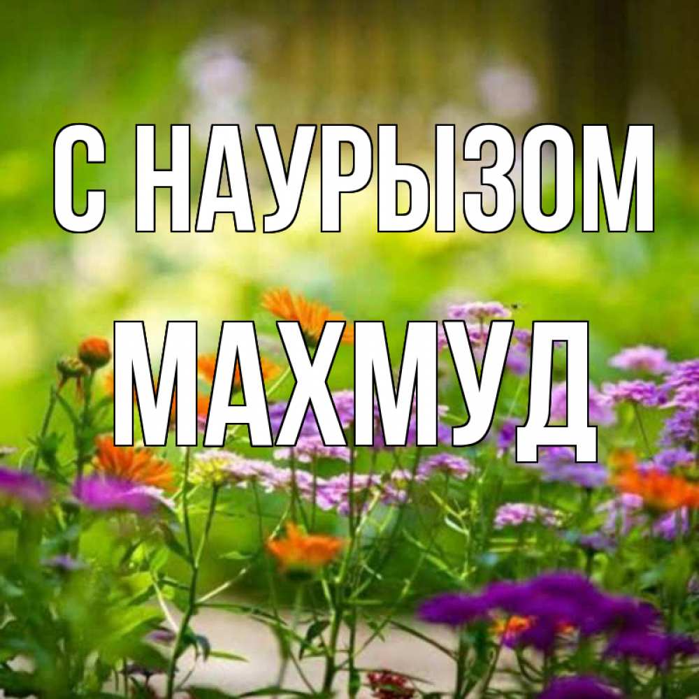 Открытка на каждый день с именем, Махмуд С наурызом цветы Прикольная открытка с пожеланием онлайн скачать бесплатно 