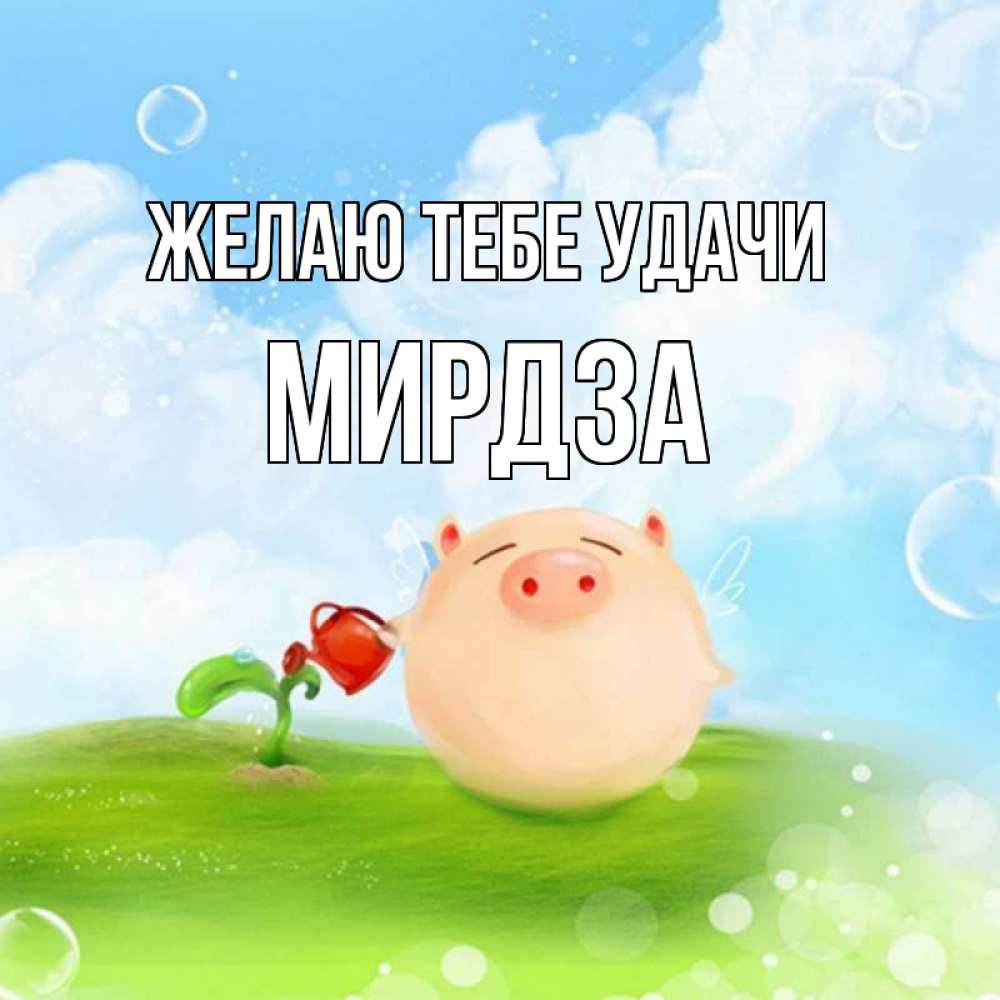 Открытка на каждый день с именем, Мирдза Желаю тебе удачи поросенок поливает цветок. летнее настроение Прикольная открытка с пожеланием онлайн скачать бесплатно 