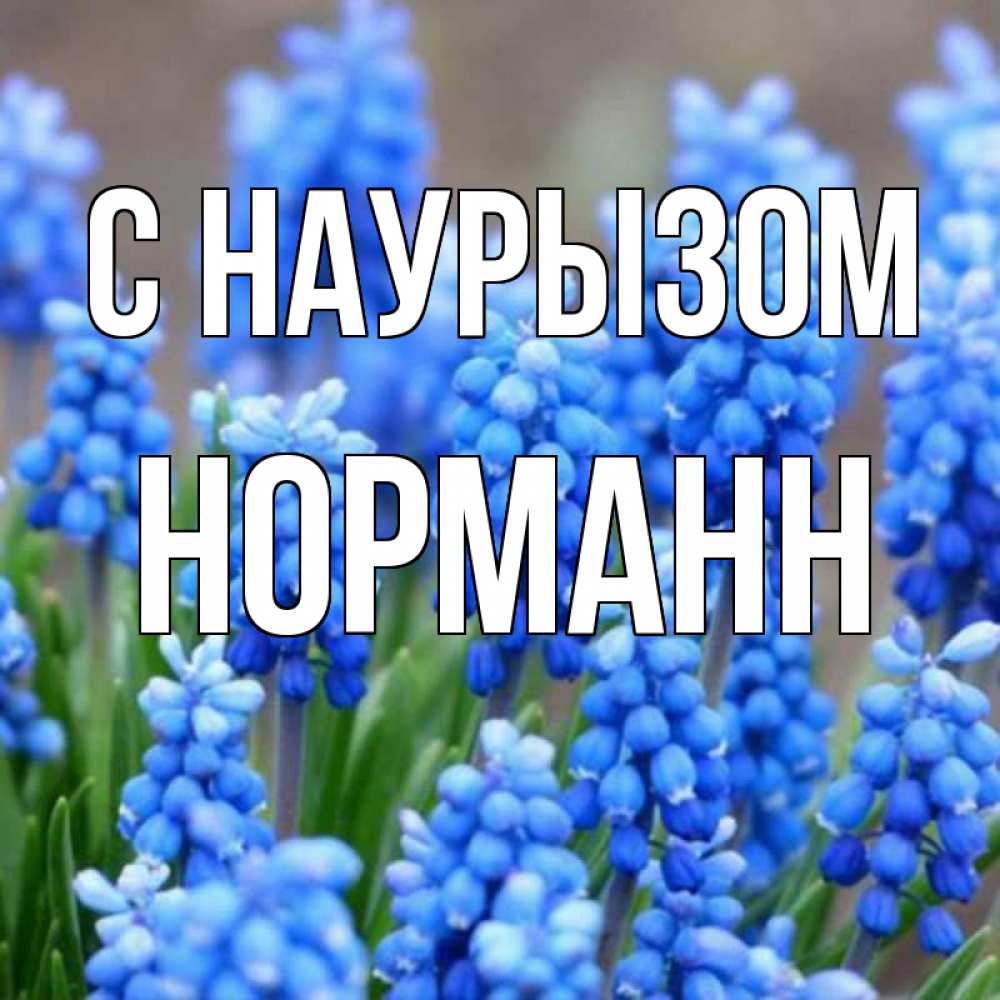 Открытка на каждый день с именем, Норманн С наурызом Поздравительная открытка для женщин с цветами на праздничную дату Прикольная открытка с пожеланием онлайн скачать бесплатно 