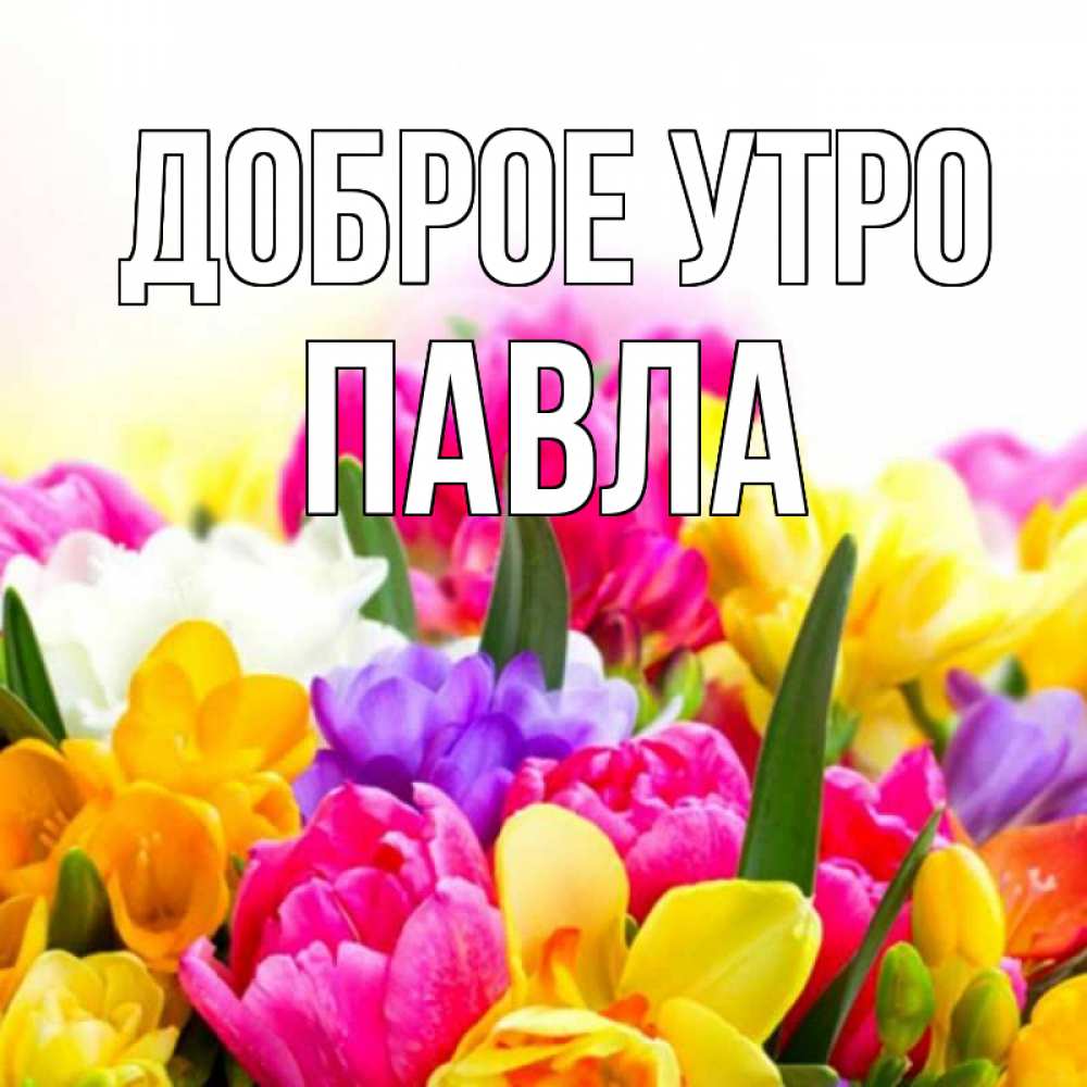 Открытка на каждый день с именем, Павла Доброе утро создать открытку со свое подписью Прикольная открытка с пожеланием онлайн скачать бесплатно 