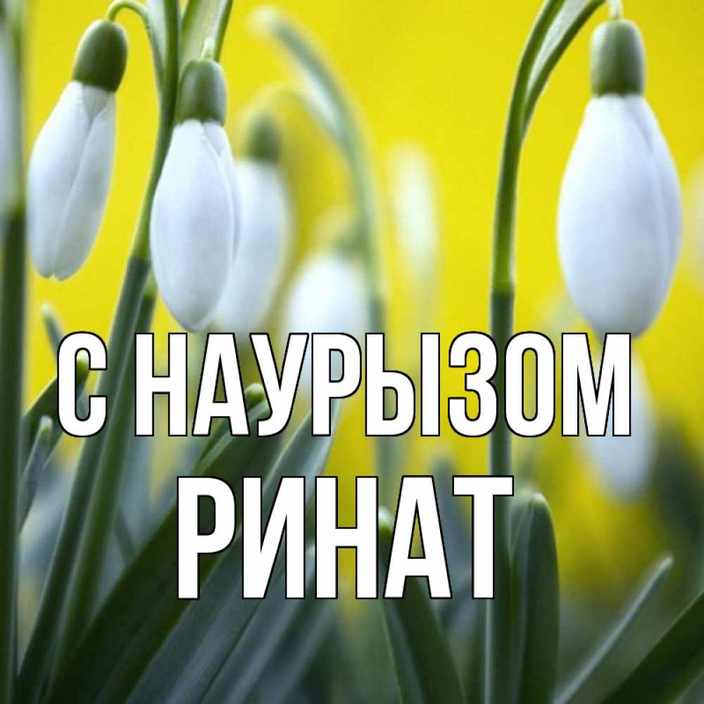 Открытка на каждый день с именем, Ринат С наурызом весенние цветы Прикольная открытка с пожеланием онлайн скачать бесплатно 