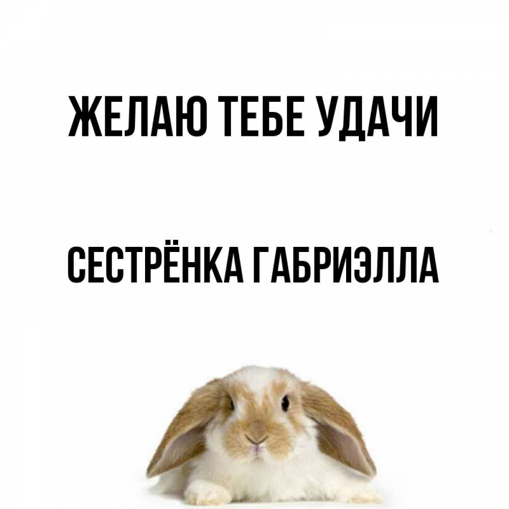 Открытка на каждый день с именем, Сестрёнка-Габриэлла Желаю тебе удачи открытки с произвольным текстом который можно вставить в открытку и создать ее самостоятельно бесплатно онлайн Прикольная открытка с пожеланием онлайн скачать бесплатно 