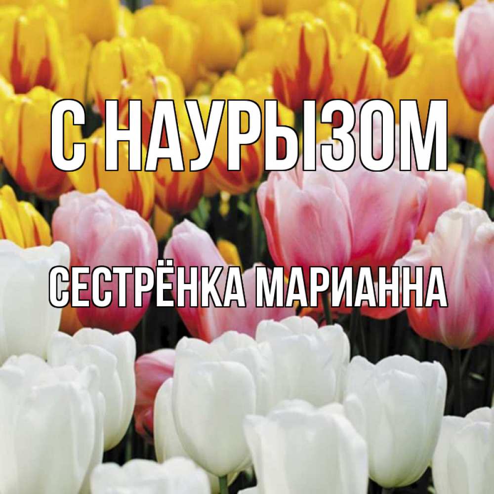 Открытка на каждый день с именем, Сестрёнка-Марианна С наурызом разноцветные цветы Прикольная открытка с пожеланием онлайн скачать бесплатно 