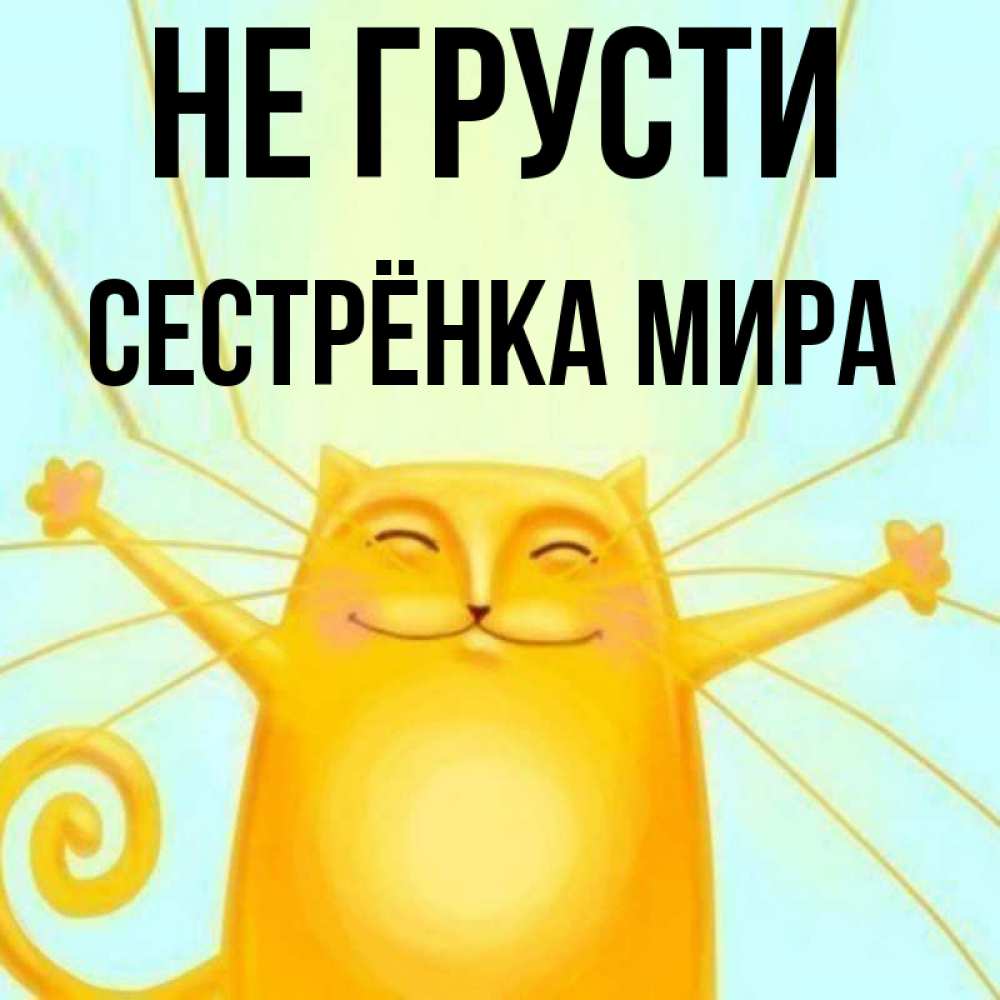 Открытка на каждый день с именем, Сестрёнка-Мира Не грусти обнимашки усатые Прикольная открытка с пожеланием онлайн скачать бесплатно 
