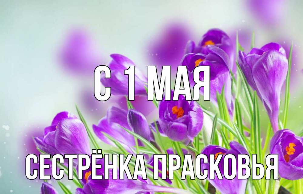 Открытка на каждый день с именем, Сестрёнка-Прасковья С 1 мая 1 мая Прикольная открытка с пожеланием онлайн скачать бесплатно 