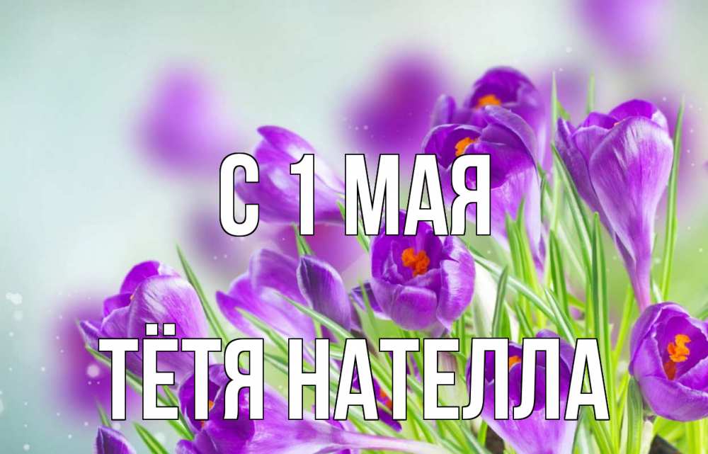 Открытка на каждый день с именем, Тётя-Нателла С 1 мая 1 мая Прикольная открытка с пожеланием онлайн скачать бесплатно 