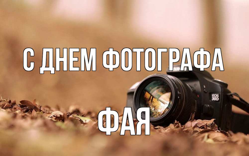 Открытка на каждый день с именем, Фая С днем фотографа с днем фотографа Прикольная открытка с пожеланием онлайн скачать бесплатно 