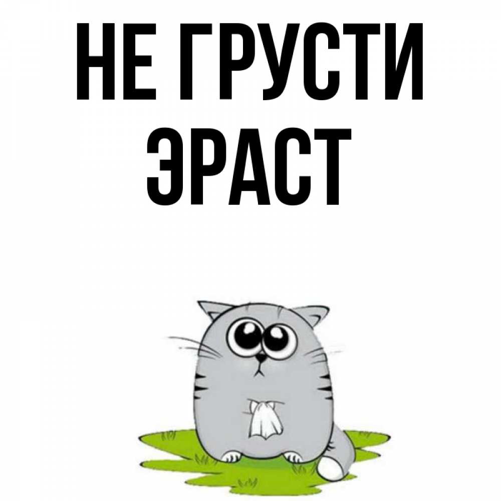 Открытка на каждый день с именем, Эраст Не грусти грустный котяра Прикольная открытка с пожеланием онлайн скачать бесплатно 