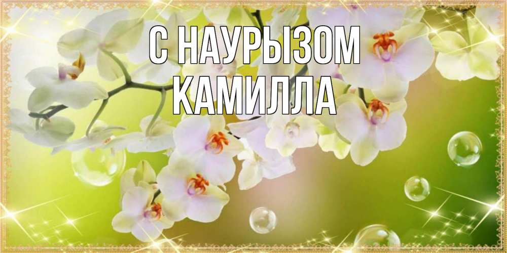 Открытка на каждый день с именем, Камилла С наурызом открытка с цветами на международный женский день Прикольная открытка с пожеланием онлайн скачать бесплатно 