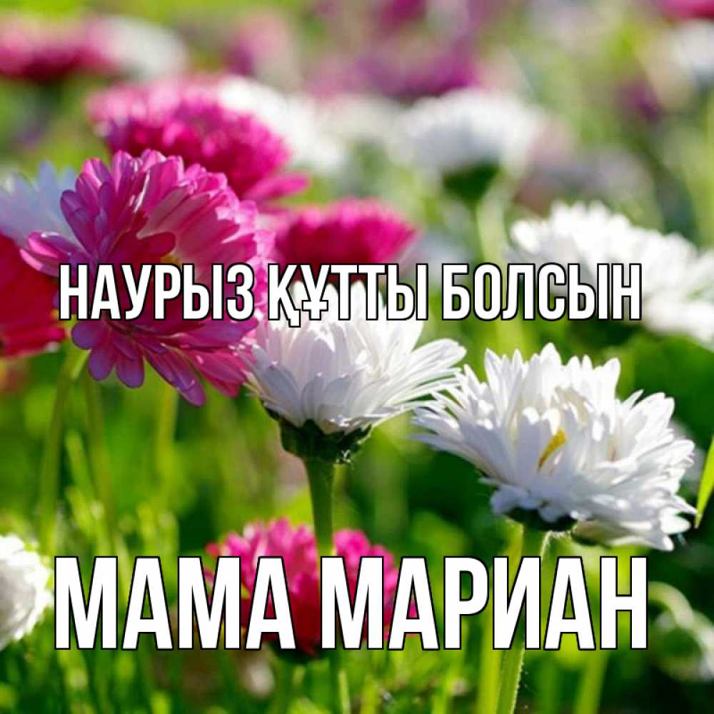 Открытка на каждый день с именем, Мама-Мариан Наурыз құтты болсын наурыз Прикольная открытка с пожеланием онлайн скачать бесплатно 