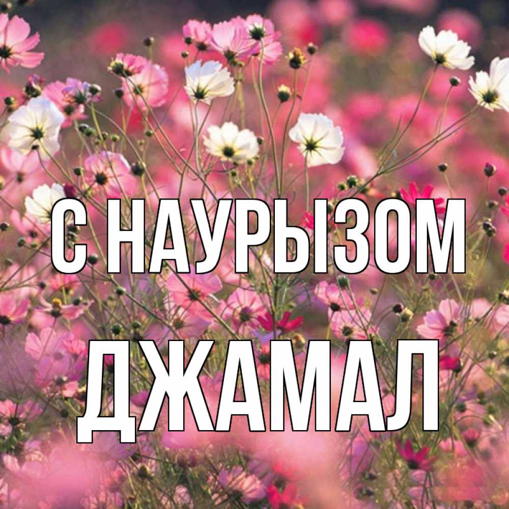 Открытка на каждый день с именем, Джамал С наурызом красиво 1 Прикольная открытка с пожеланием онлайн скачать бесплатно 