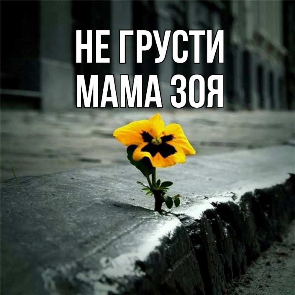 Открытка на каждый день с именем, Мама-Зоя Не грусти не сдавайся Прикольная открытка с пожеланием онлайн скачать бесплатно 