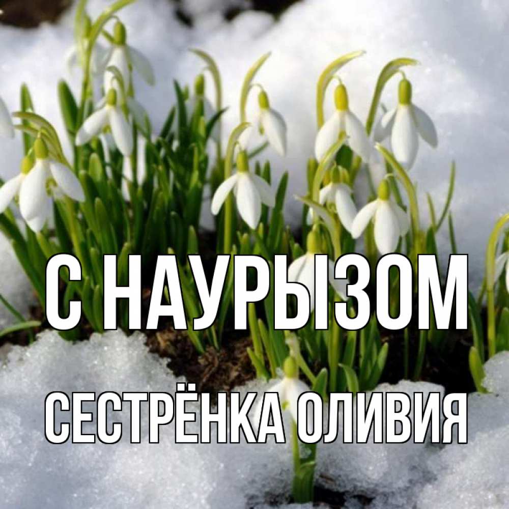 Открытка на каждый день с именем, Сестрёнка-Оливия С наурызом цветы весенние Прикольная открытка с пожеланием онлайн скачать бесплатно 