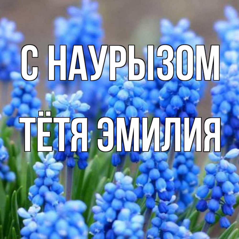 Открытка на каждый день с именем, Тётя-Эмилия С наурызом Поздравительная открытка для женщин с цветами на праздничную дату Прикольная открытка с пожеланием онлайн скачать бесплатно 