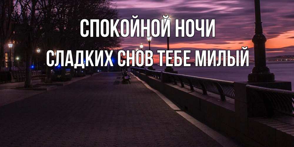 Картинка Спокойной ночи,  сладких снов тебе милый