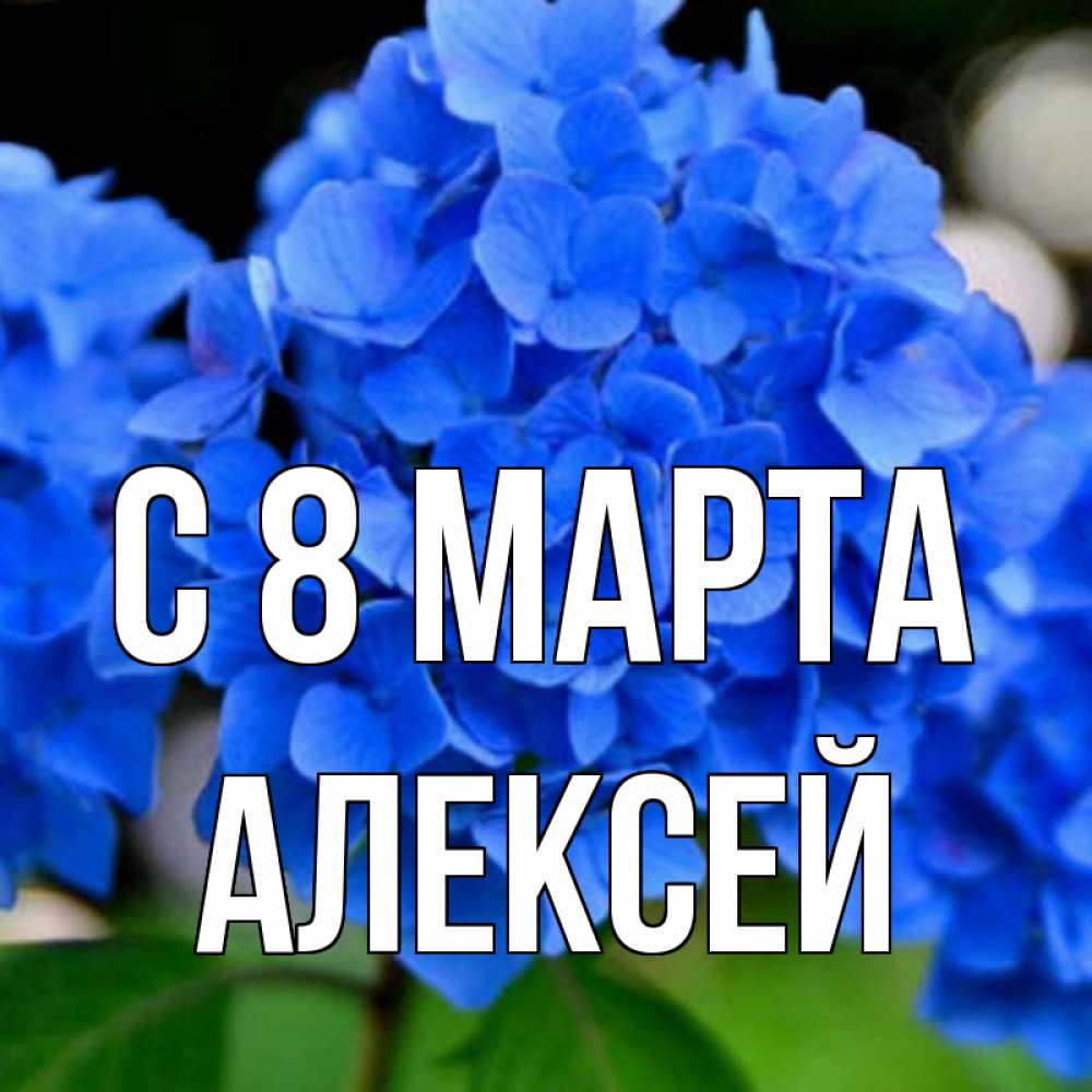 Открытка на каждый день с именем, Алексей С 8 МАРТА синие цветы Прикольная открытка с пожеланием онлайн скачать бесплатно 