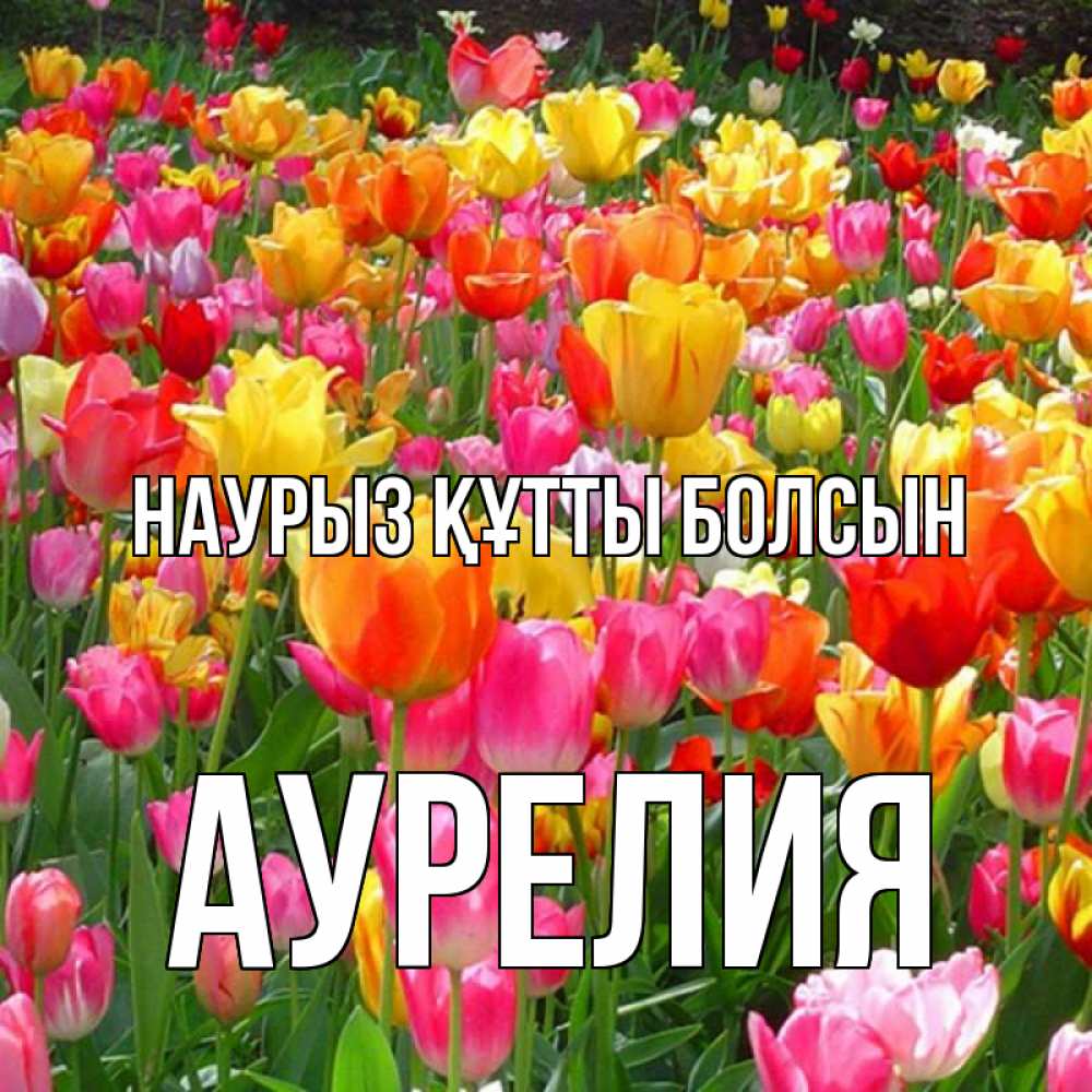 Открытка на каждый день с именем, Аурелия Наурыз құтты болсын на наурыз  ура ура Прикольная открытка с пожеланием онлайн скачать бесплатно 