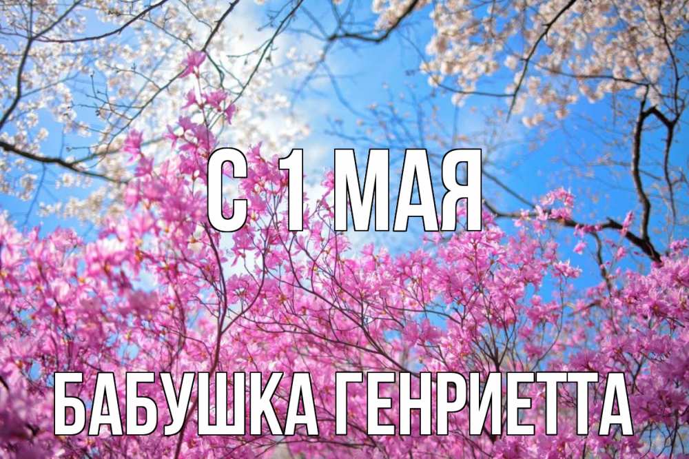 Открытка на каждый день с именем, Бабушка-Генриетта С 1 мая С 1 мая Прикольная открытка с пожеланием онлайн скачать бесплатно 