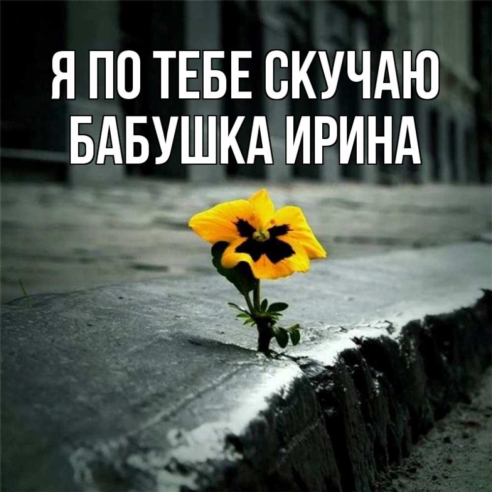 Открытка на каждый день с именем, Бабушка-Ирина Я по тебе скучаю надеюсь будет лучше Прикольная открытка с пожеланием онлайн скачать бесплатно 