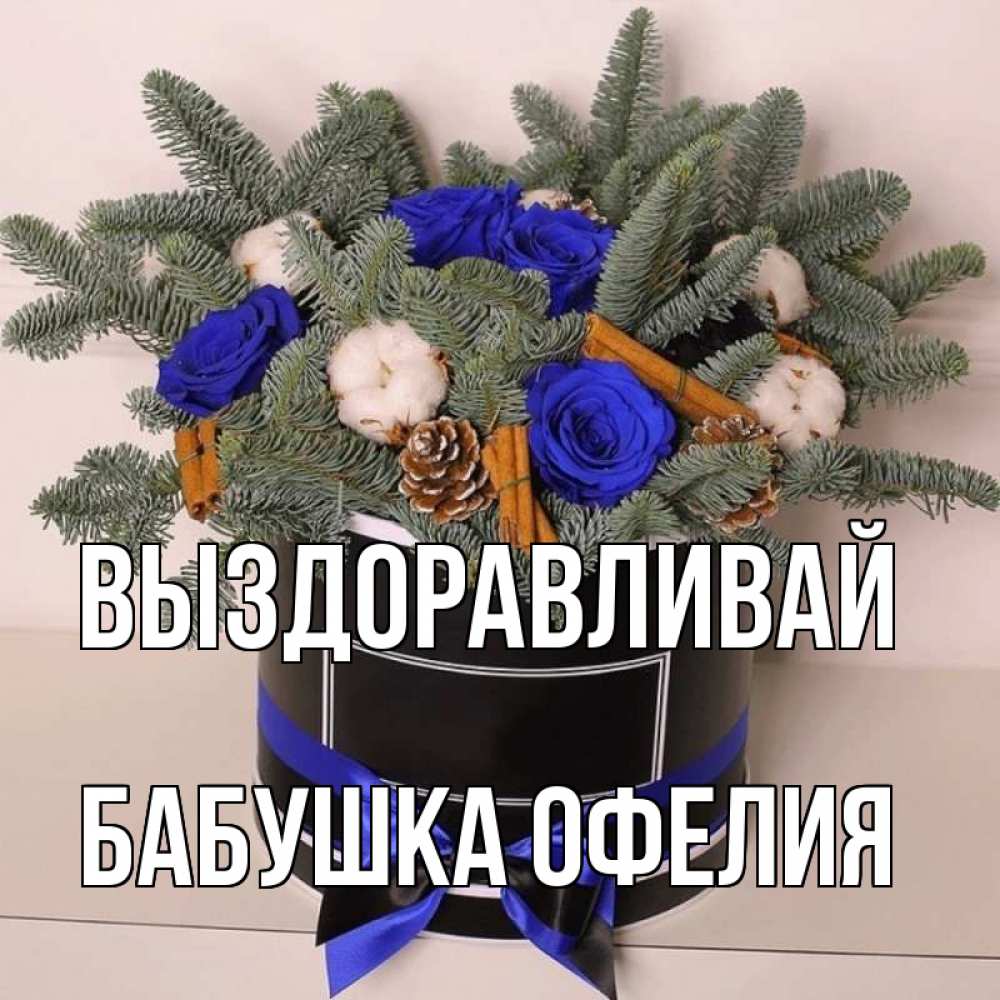 Открытка на каждый день с именем, Бабушка-Офелия Выздоравливай короче кто то загрузил эти шишки Прикольная открытка с пожеланием онлайн скачать бесплатно 