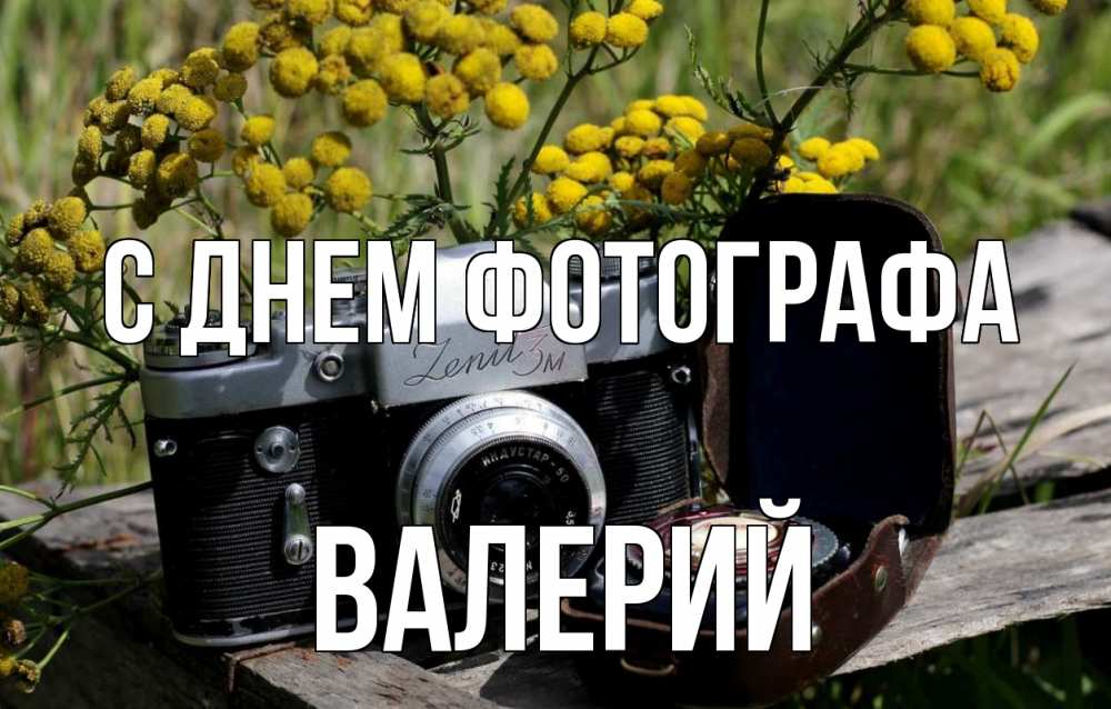 Открытка на каждый день с именем, Валерий С днем фотографа с днем фотографа Прикольная открытка с пожеланием онлайн скачать бесплатно 