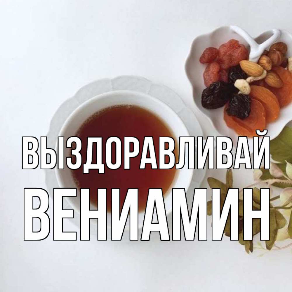 Открытка на каждый день с именем, Вениамин Выздоравливай неизвестные растения Прикольная открытка с пожеланием онлайн скачать бесплатно 