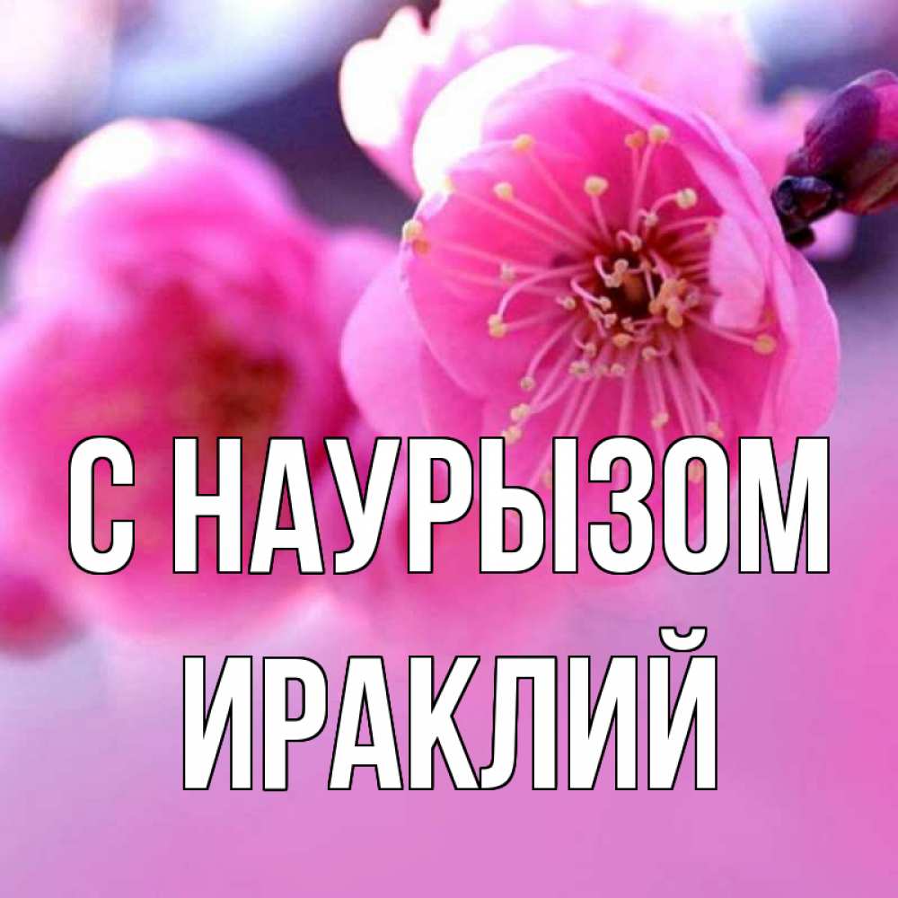 Открытка на каждый день с именем, Ираклий С наурызом международный женский день Прикольная открытка с пожеланием онлайн скачать бесплатно 