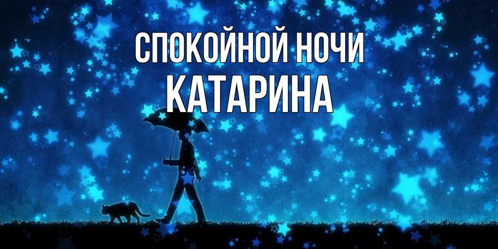 Открытка на каждый день с именем, Катарина Спокойной ночи ночные прогулки с котом под звездами Прикольная открытка с пожеланием онлайн скачать бесплатно 