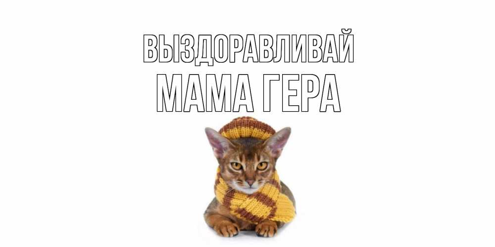 Открытка на каждый день с именем, Мама-Гера Выздоравливай родные не болейте Прикольная открытка с пожеланием онлайн скачать бесплатно 