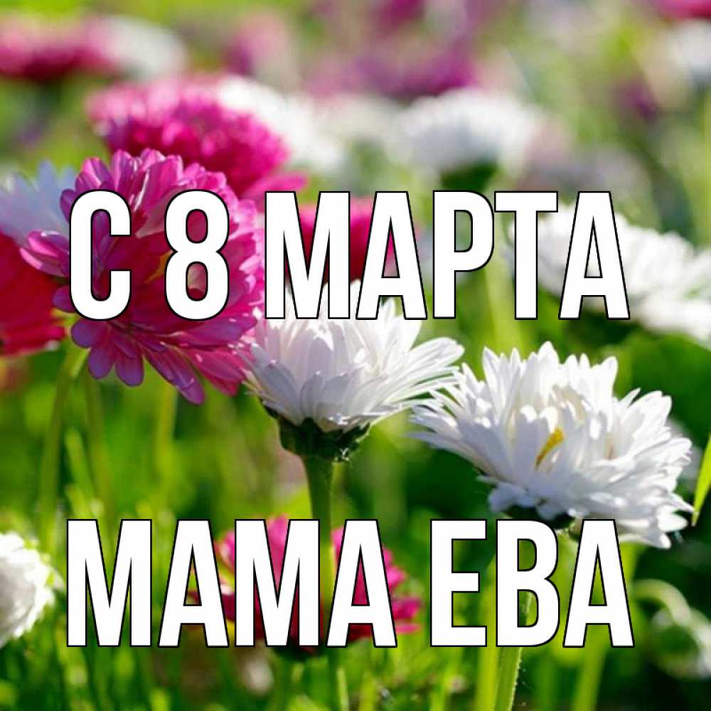 Открытка на каждый день с именем, Мама-Ева С 8 МАРТА международный женский день 1 Прикольная открытка с пожеланием онлайн скачать бесплатно 