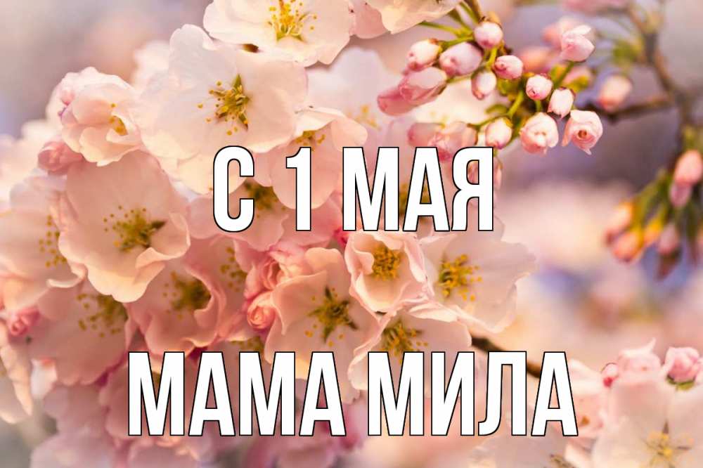 Открытка на каждый день с именем, Мама-Мила С 1 мая С 1 мая Прикольная открытка с пожеланием онлайн скачать бесплатно 