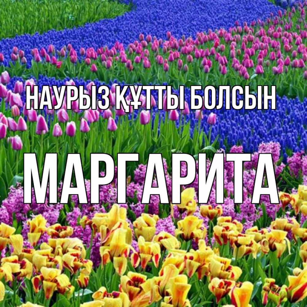 Открытка на каждый день с именем, Маргарита Наурыз құтты болсын цветы Прикольная открытка с пожеланием онлайн скачать бесплатно 