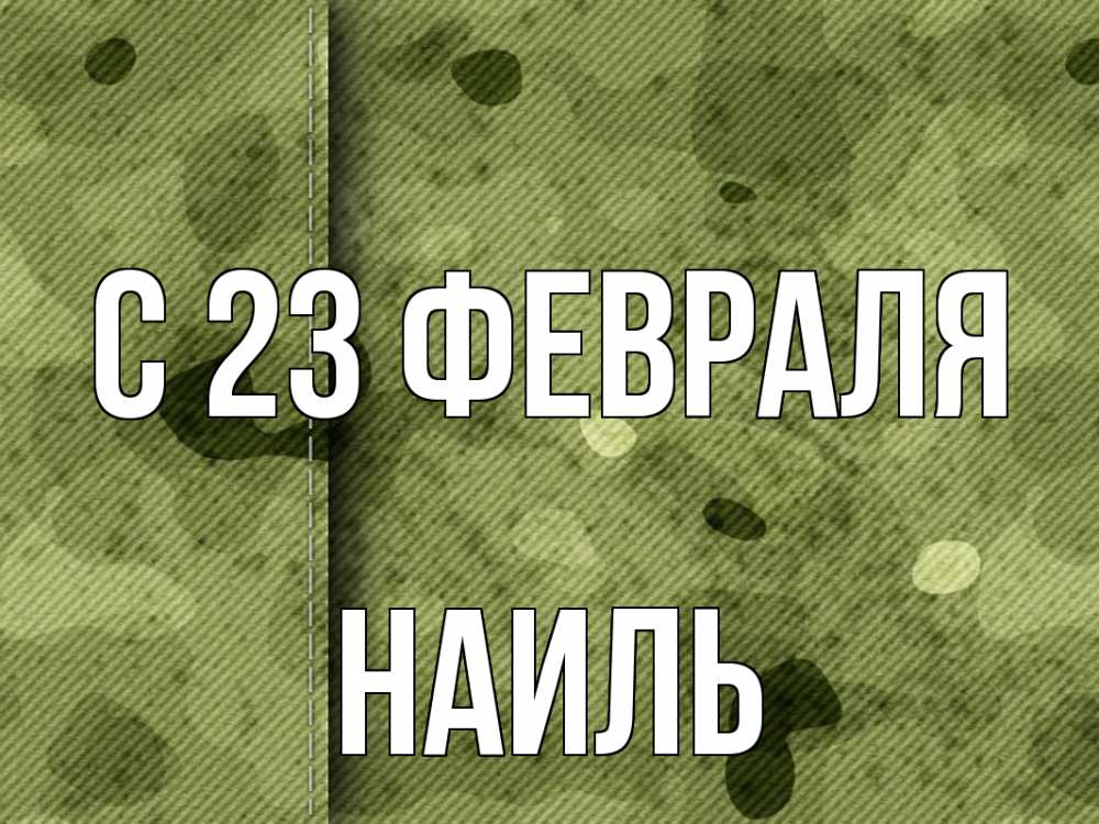 Открытка на каждый день с именем, Наиль С 23 февраля 23 февраля Прикольная открытка с пожеланием онлайн скачать бесплатно 