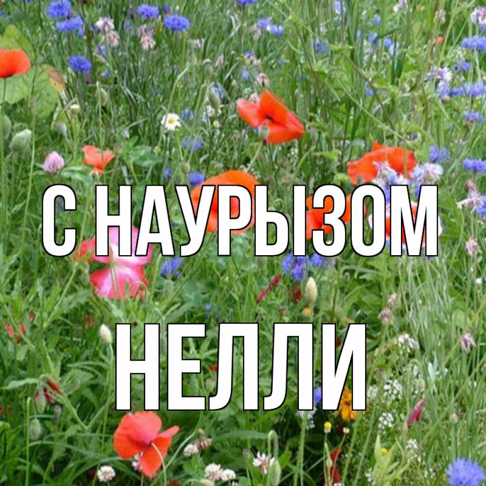 Открытка на каждый день с именем, Нелли С наурызом праздник весны наурыз супер открытка Прикольная открытка с пожеланием онлайн скачать бесплатно 