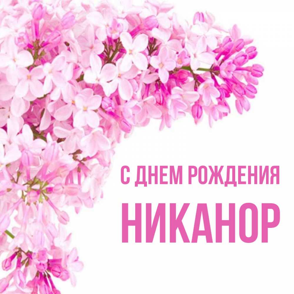 Открытка на каждый день с именем, Никанор С днем рождения Сирень на белом фоне Прикольная открытка с пожеланием онлайн скачать бесплатно 