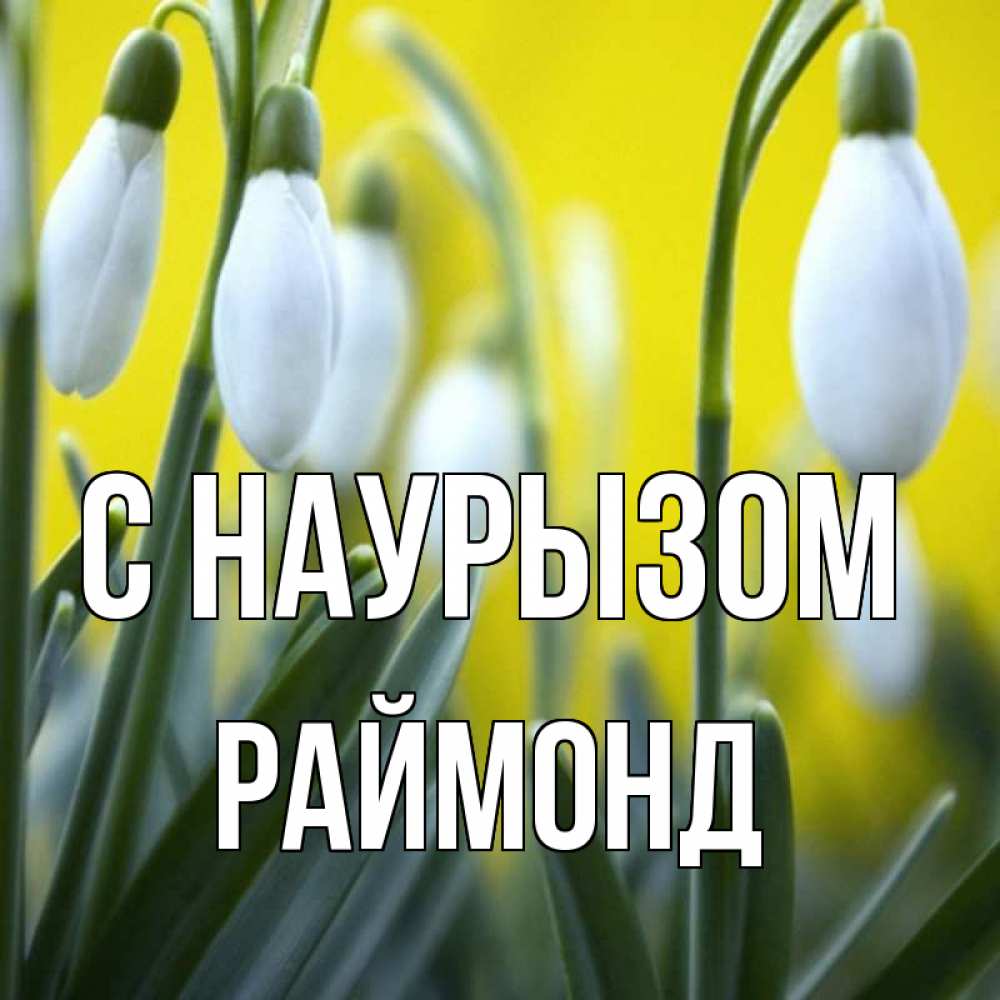 Открытка на каждый день с именем, Раймонд С наурызом весенние цветы Прикольная открытка с пожеланием онлайн скачать бесплатно 