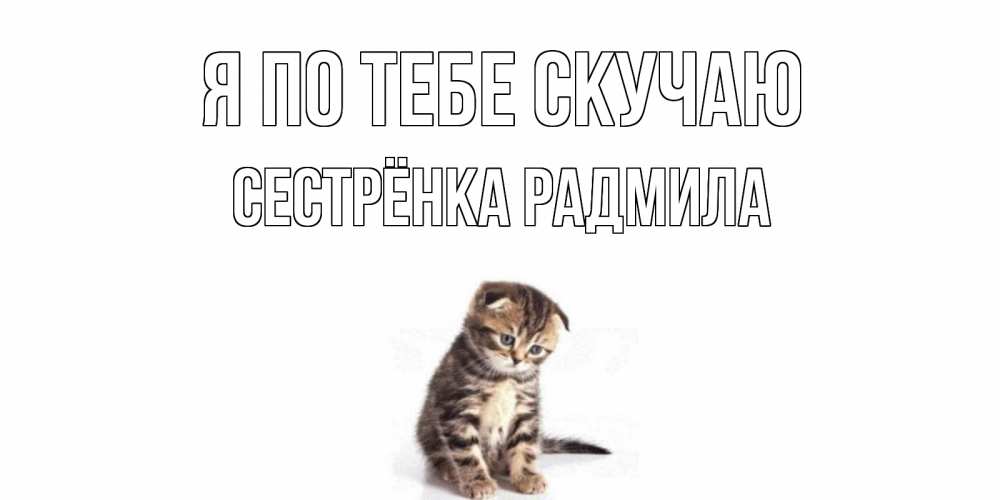 Открытка на каждый день с именем, Сестрёнка-Радмила Я по тебе скучаю кот Прикольная открытка с пожеланием онлайн скачать бесплатно 