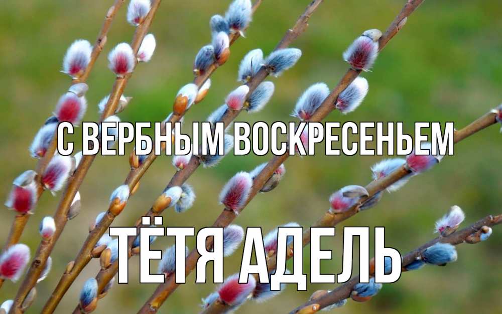 Открытка на каждый день с именем, Тётя-Адель С вербным воскресеньем верба Прикольная открытка с пожеланием онлайн скачать бесплатно 