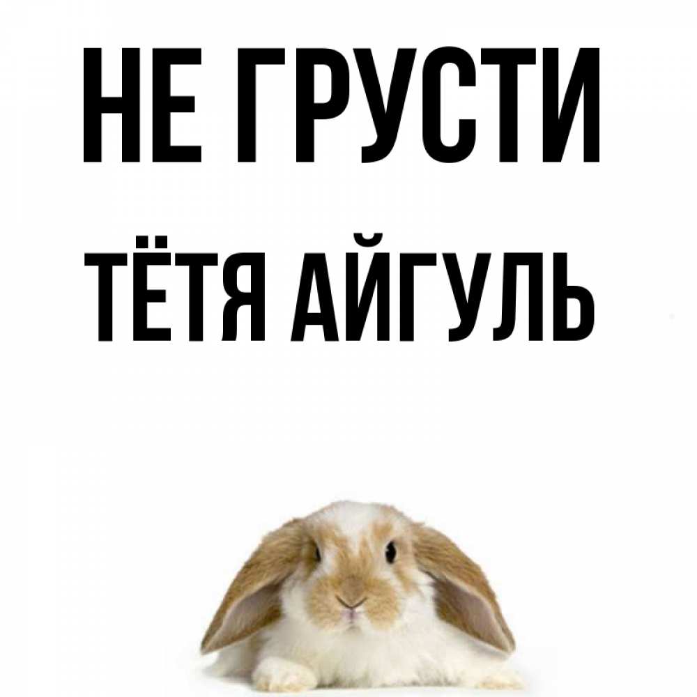 Открытка на каждый день с именем, Тётя-Айгуль Не грусти коричнево белый заяц с большими ушками Прикольная открытка с пожеланием онлайн скачать бесплатно 