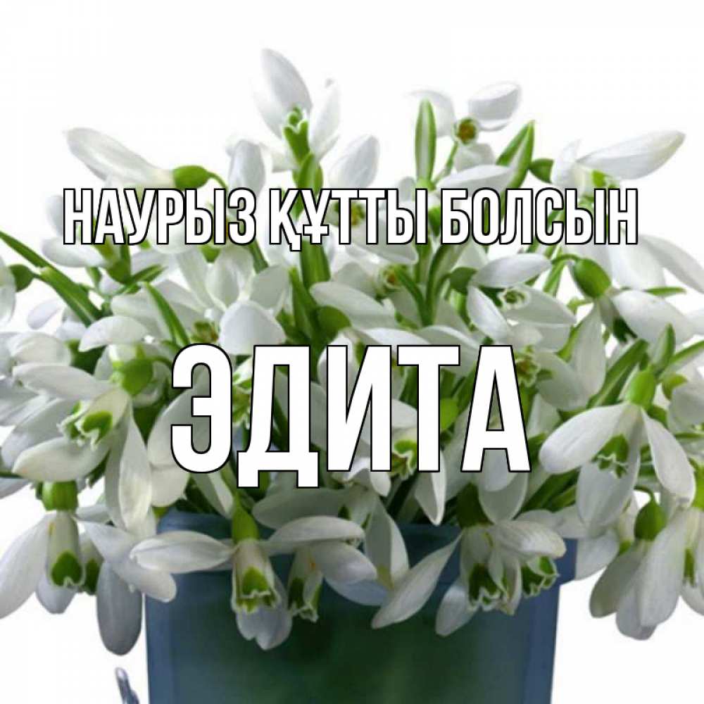 Открытка на каждый день с именем, Эдита Наурыз құтты болсын цветы к наурызу Прикольная открытка с пожеланием онлайн скачать бесплатно 