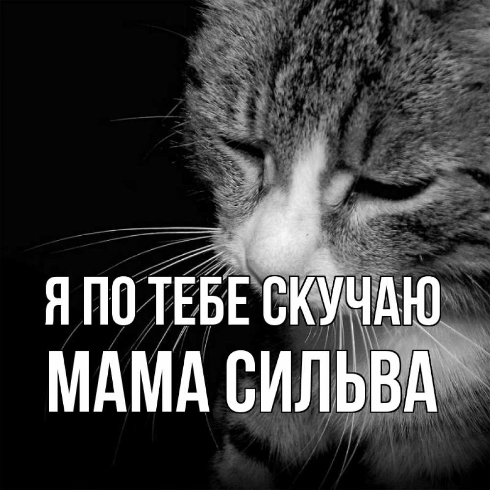 Открытка на каждый день с именем, Мама-Сильва Я по тебе скучаю мне скучно Прикольная открытка с пожеланием онлайн скачать бесплатно 